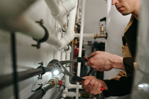Best Sewer Line Repair  in Lineville, AL