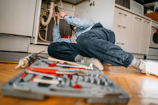 Best Commercial Plumbing Services  in Lineville, AL