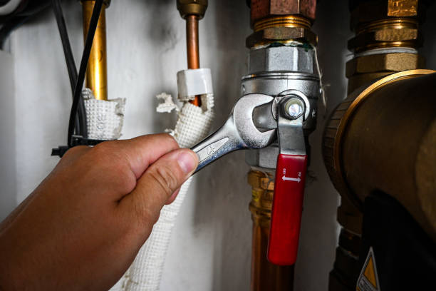Best Water Heater Repair  in Lineville, AL